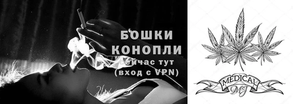 дживик Переславль-Залесский