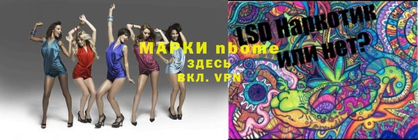 крисы Армянск